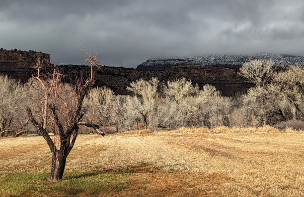 锡安国家公园里的基内萨瓦山被云层覆盖，从维珍河的牧场上眺望，黄昏时背光的白杨树图片下载