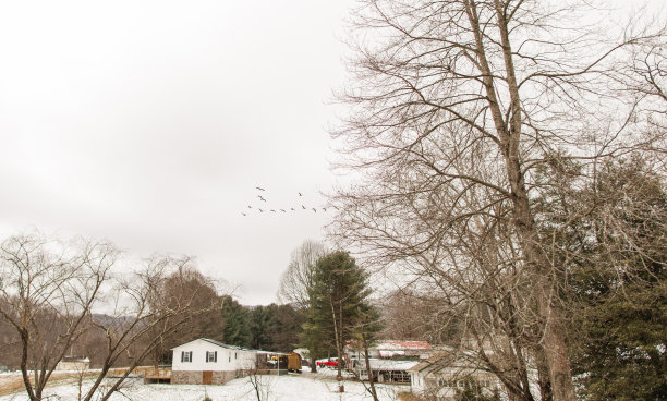 2022年12月西弗吉尼亚州冰雪白色的圣诞场景图片下载