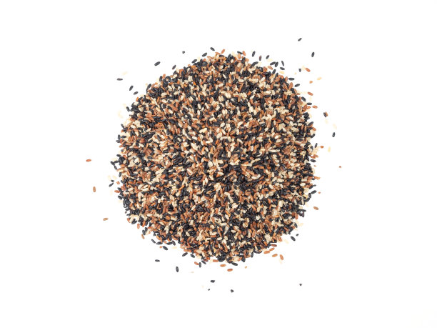 白底彩色米饭图片下载