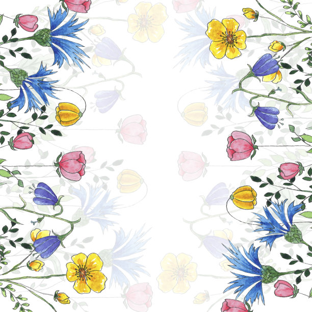 水彩框架与野花，手绘植物风格的节日和婚礼卡片。红色、黄色和蓝色花朵的边界孤立在白色背景上。鲜花和绿色植物的芬芳图片下载