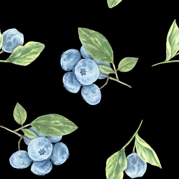 蓝莓无缝模式。水彩分支与浆果蓝莓和树叶在黑色背景手绘植物风格用于假日，婚礼，标志，食品设计，剪贴簿图片下载