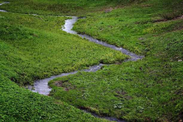 夏日，草地上绿草间的小溪，风景，自然背景图片下载
