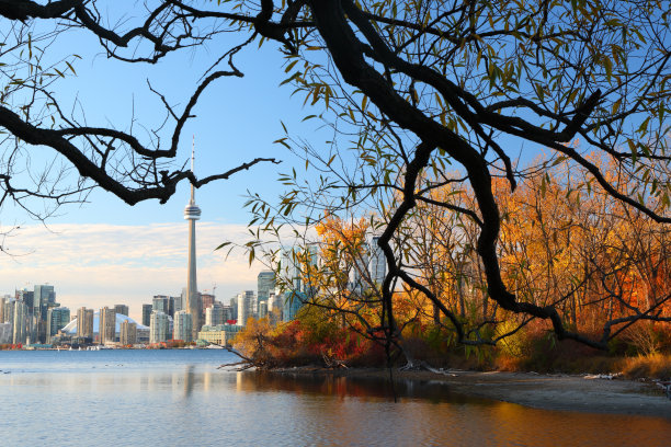 多伦多岛在秋季MS水平图片下载