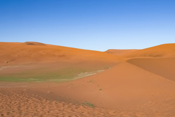 纳米比亚，纳米布沙漠图片下载