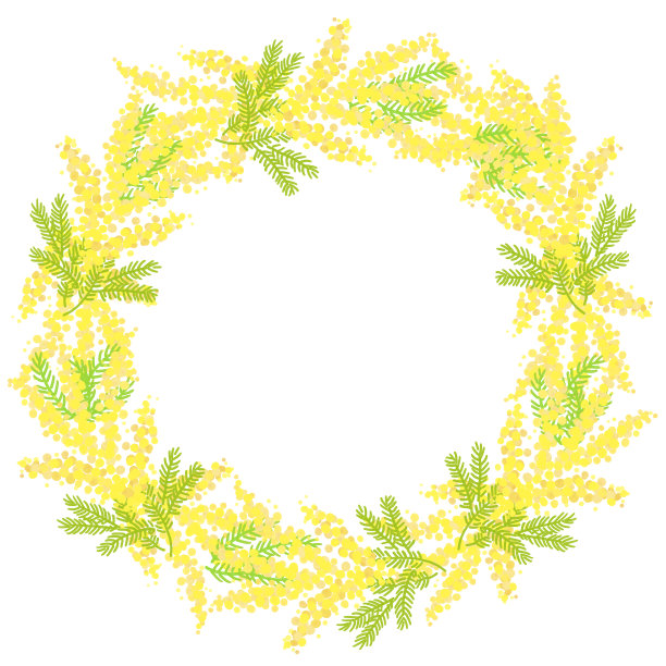 含羞草花黄色的花框背景图片下载