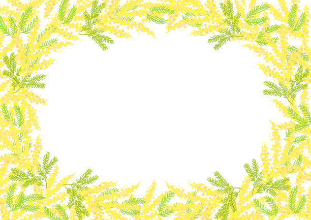 含羞草花黄色的花框背景图片下载