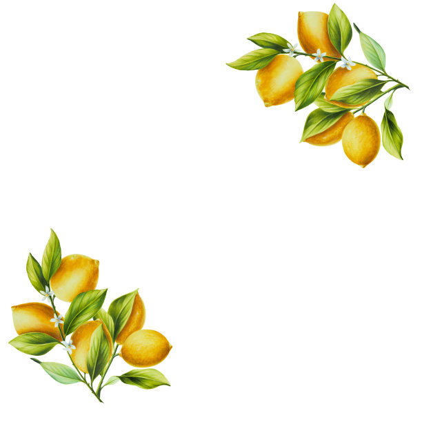 水彩框架与新鲜成熟的柠檬与鲜绿色的叶子和花朵。手绘切柑橘片画在白色背景。为设计师，明信片，派对邀请，包装纸，封面。海报及纺织品图片下载