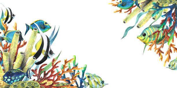 海绵，珊瑚，藻类和热带鲜艳的鱼。水彩插图。由收集的热带鱼组成。用于夏季和沙滩印花、装饰的装饰和设计图片下载