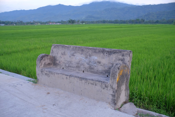 水田里的永久水泥椅是敞开的绿色图片下载