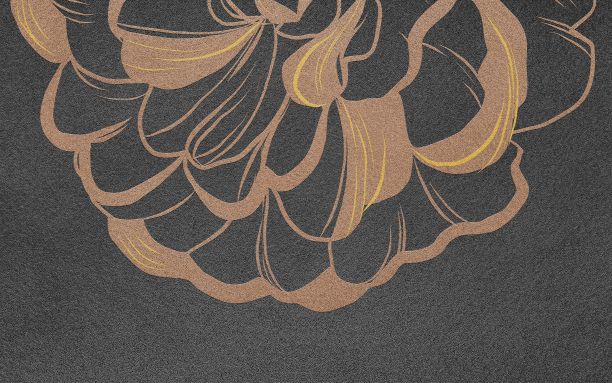 美丽的花卉设计背景壁纸图片下载