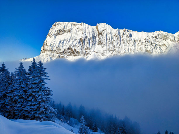 在瑞士阿尔卑斯山滑雪登山。在格劳斯和施维茨的西尔贝伦山上，迅猎兽在雾中翱翔。冬季户外活动。高质量照片图片下载
