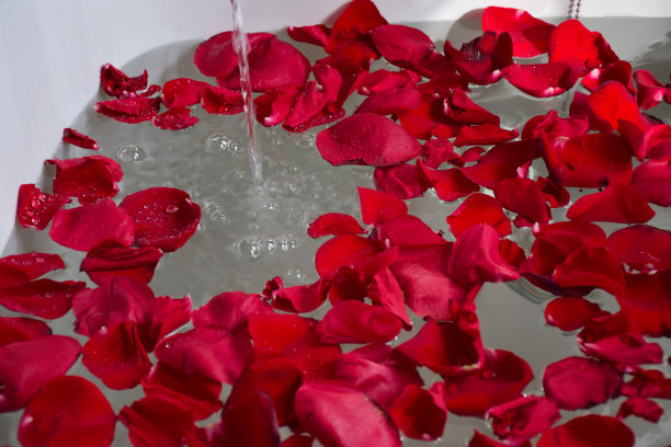 红色玫瑰花瓣浴缸图片下载