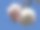 日本。4月。小樱。特写镜头。图片下载