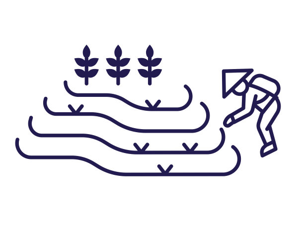 亚洲农民在梯田工作图片下载