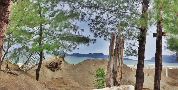 白南普兰的沙山和旧吊床图片下载