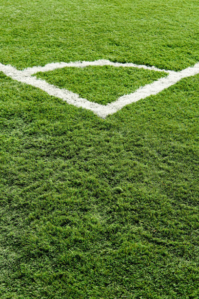 足球场上画着白色的角线。垂直足球场图片下载