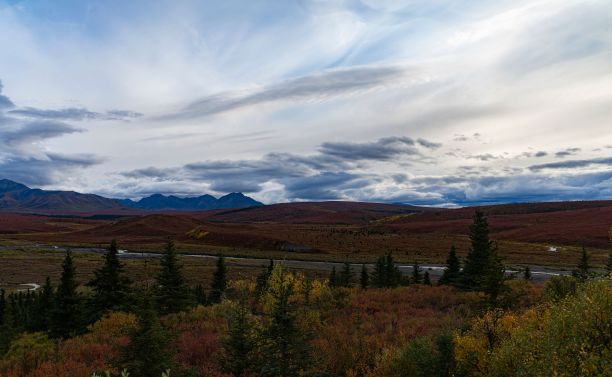 德纳里国家公园明亮的蓝天下的秋天田野的美丽照片图片下载