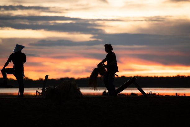 超过70%的泰国农民的农村生活涉及水稻种植。从过去到现在，这些农民家庭已经生活了很长一段时间图片下载