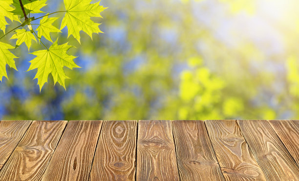 空的木桌面上模糊的新鲜绿色抽象背景从枫叶图片下载