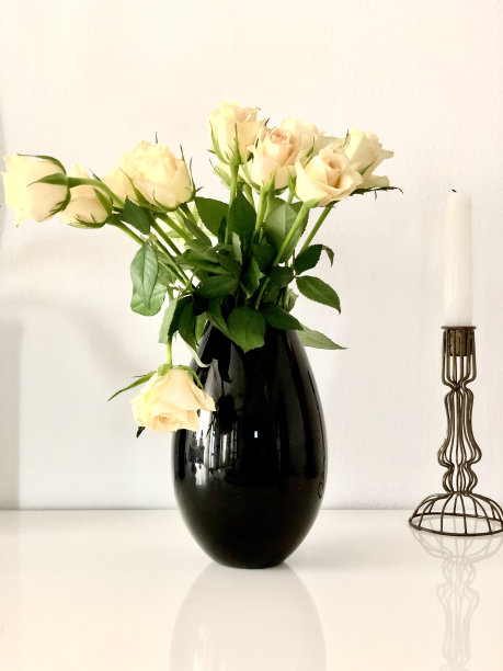 黑色花瓶里插着奶油玫瑰图片下载
