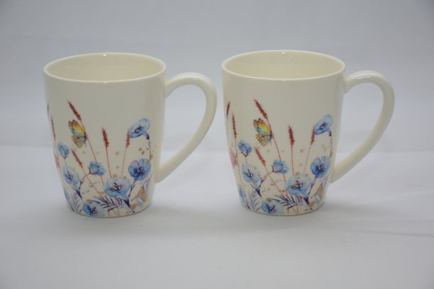 白色陶瓷茶杯或咖啡杯彩色套装，带有蓝色红色花朵和蝴蝶，与白色背景隔离图片下载