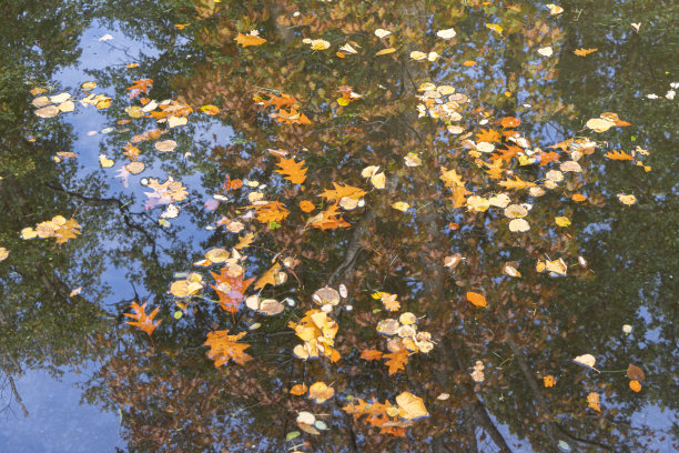 荷兰Leek的Nienoord庄园图片下载