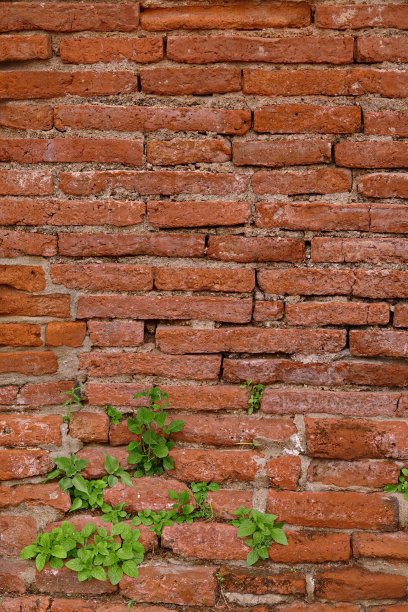 古砖墙大城府背景图片下载