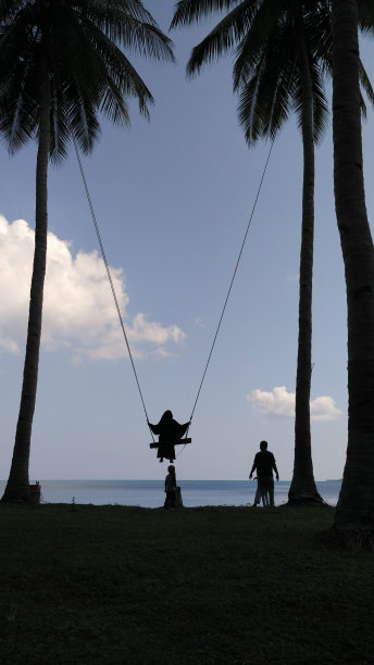 在沙滩上的大秋千上玩图片下载