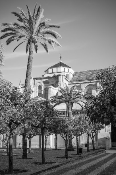In the garden of the MosqueâCathedral of Cordoba图片下载