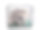 法国斗牛犬和小狗在工作室图片下载