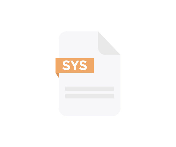 文件格式SYS. txt。文档文件图标，互联网，扩展名，符号，类型，演示，图形，应用程序。元素用于应用程序，网站，数据服务矢量设计和插图。图片下载