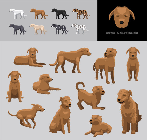 狗爱尔兰猎狼犬棕色外套卡通矢量插图颜色变化集图片下载