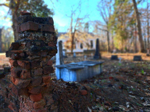 艾米丽的照片图片下载