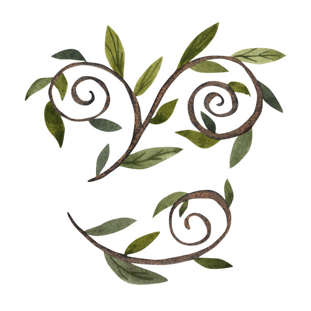 扭曲的树枝和白色背景上的叶子图片下载