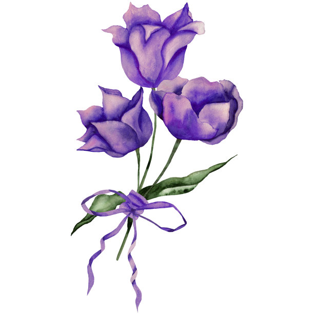 白色背景上的紫色郁金香。春天的花。水彩插图。图片下载