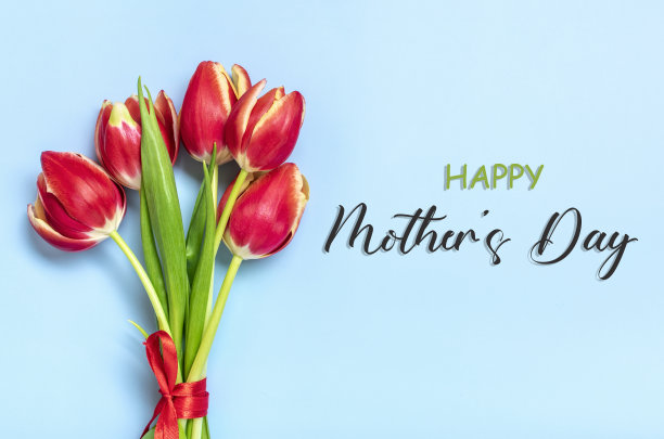 红色郁金香花束，文字母亲节快乐在蓝色背景俯视平lay节日贺卡图片下载