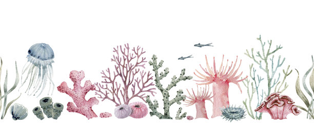 无缝边界与珊瑚和贝壳的航海风格，水彩插图。图片下载