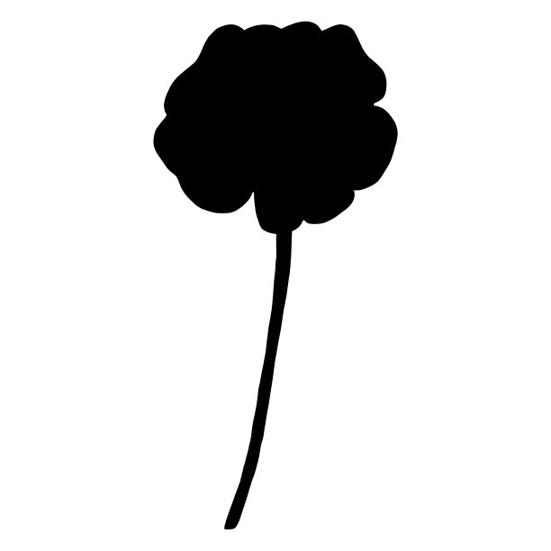 手绘万寿菊剪影孤立在白色背景。图片下载