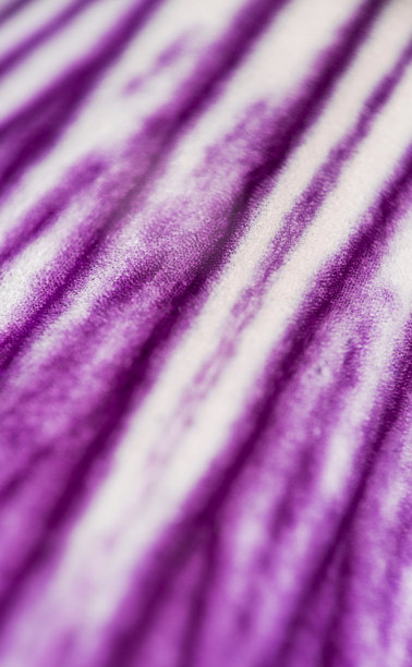 极宏观天然紫鸢尾花有机图案图片下载