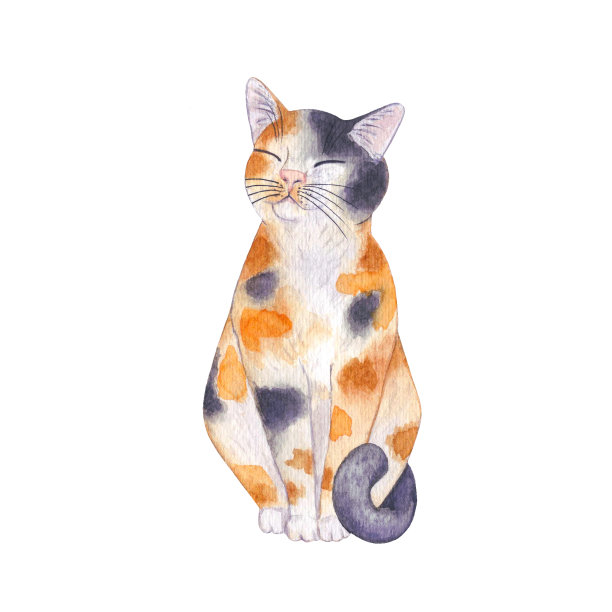 水彩插图与可爱的小猫。猫的肖像动物。图片下载