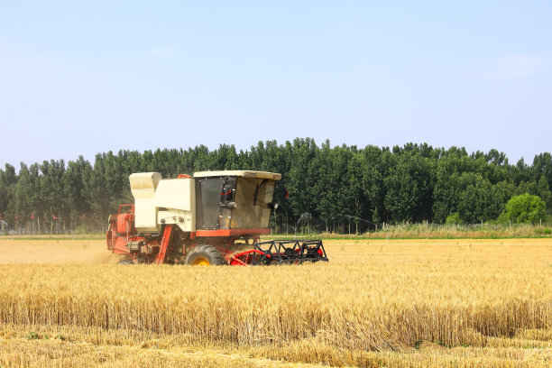 在麦田里工作的联合收割机图片下载