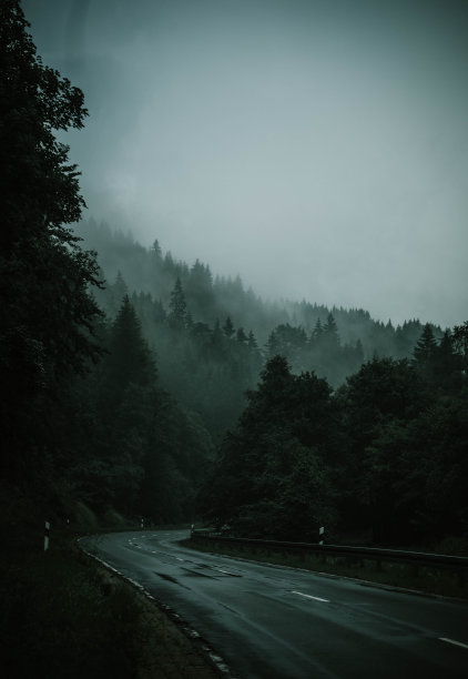 穿越雨林之路图片下载
