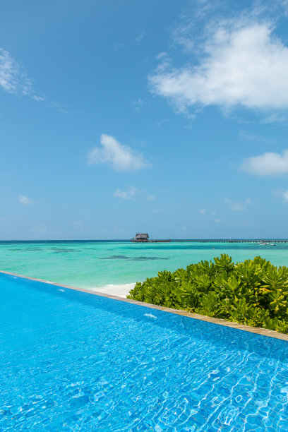 马尔代夫无边泳池在海滩与绿松石泻湖图片下载
