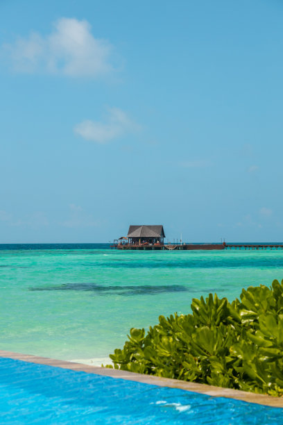 马尔代夫无边泳池在海滩与绿松石泻湖图片下载