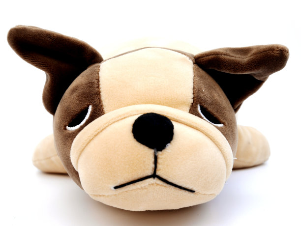 封闭的小狗娃娃脸孤立的白色背景图片下载