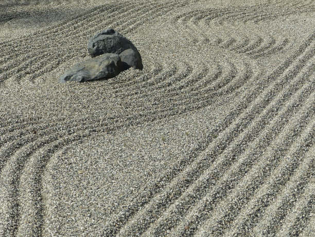 岩石花园图片下载