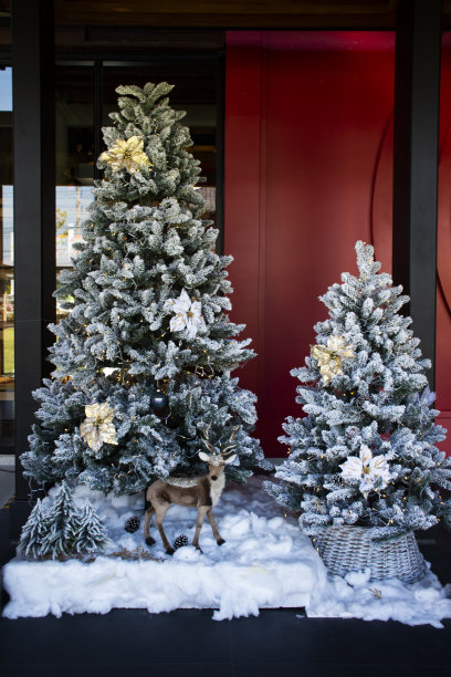 模型玩具驯鹿或北美驯鹿和圣诞树室内装饰家具在户外露台咖啡馆的泰国人旅游参观圣诞节在Chachoengsao，泰国图片下载
