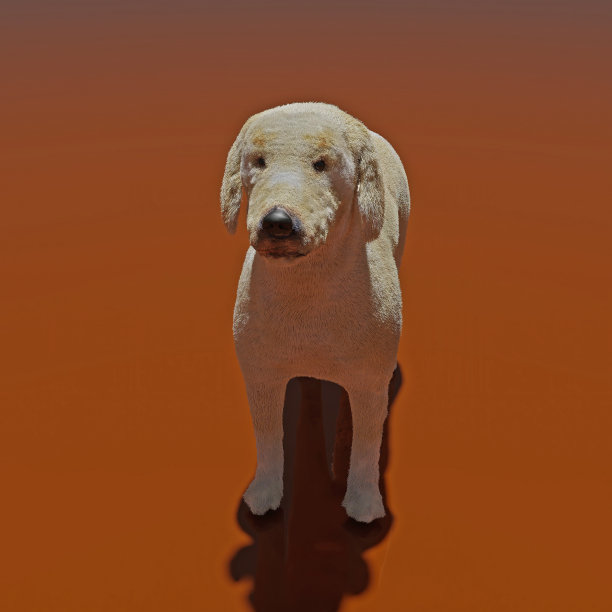 实验室图片下载