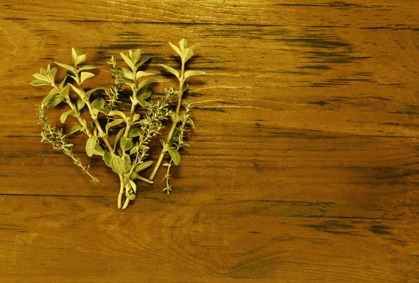 新鲜百里香和牛至图片下载