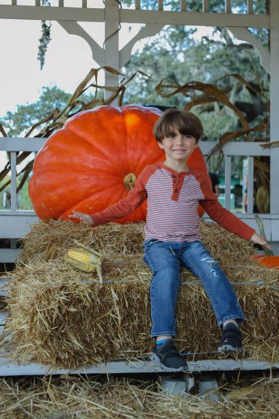 佛罗里达州奥兰多市，一个白人男孩坐在干草堆上微笑，身后是一个南瓜图片下载
